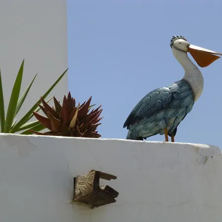 Apartment Pelicanos Puerto del Carmen (Lanzarote)